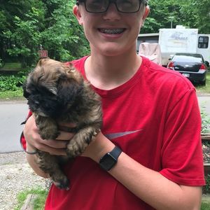 Meet your Posher, Samuel